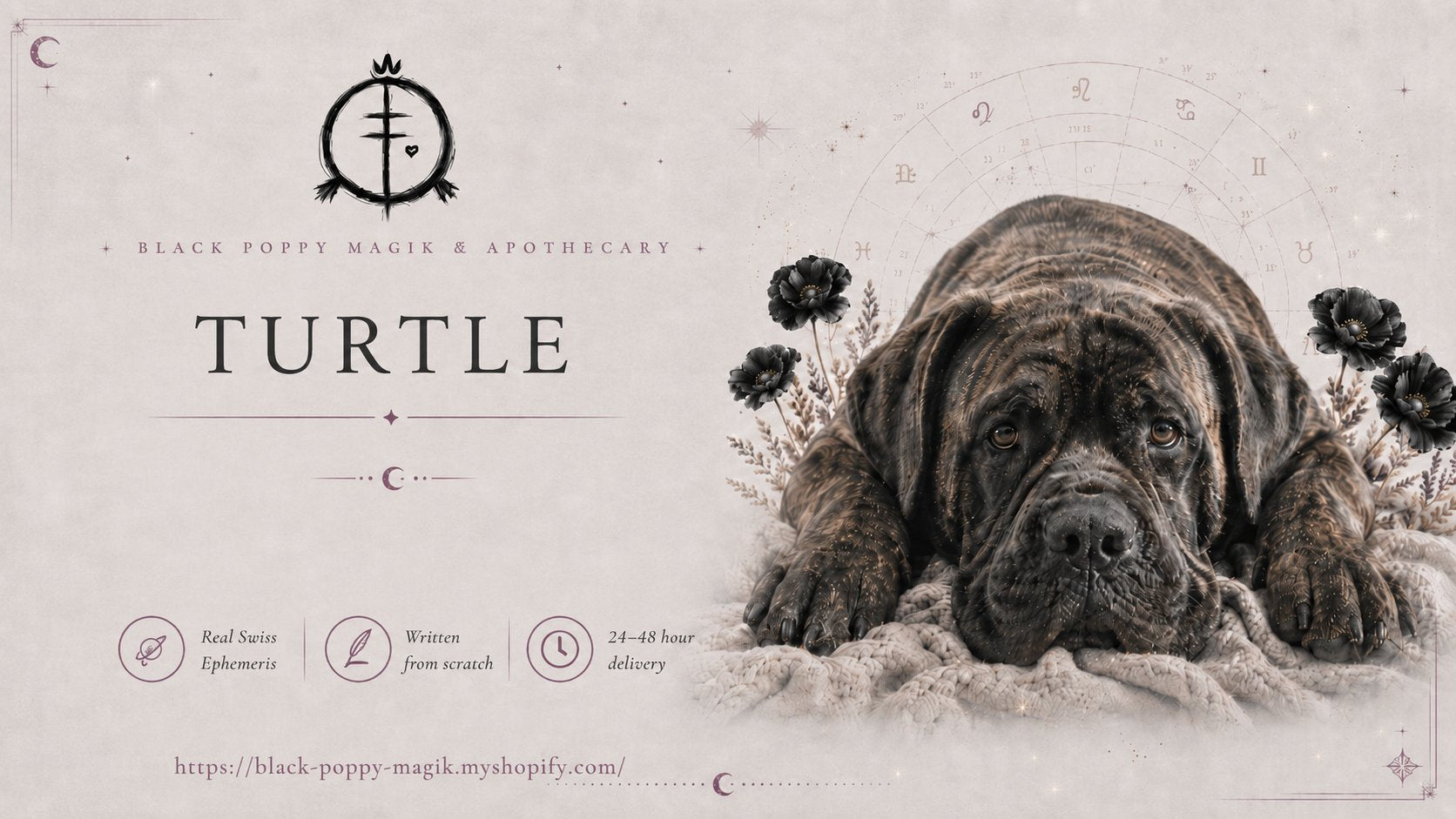 The Turtle Oracle — Animal Soul Readings by Rachael Nike · Black Poppy Magik